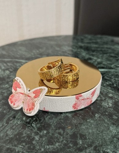 Dior vintage oblique clip - dior,